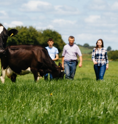 Meet the Beef Farmer