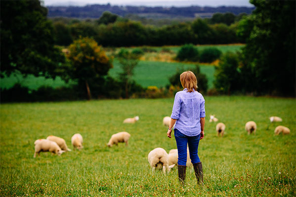 Meet the Sheep Farmer